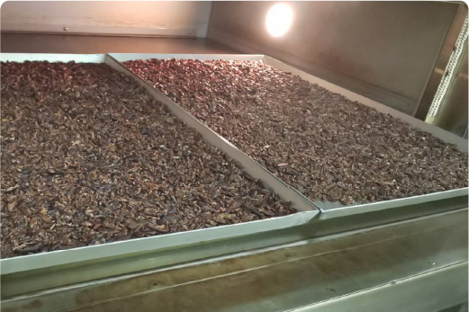 ロースト(焙煎)