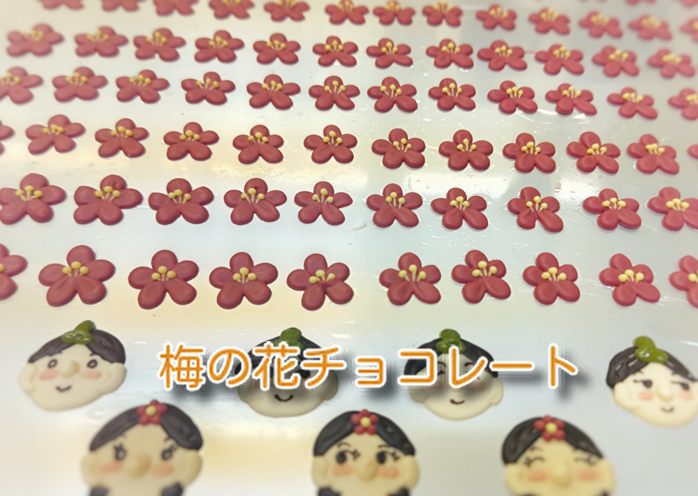 もうすぐ【ひな祭り】ですね。ケーキに飾る「梅の花チョコ」を創っています。...