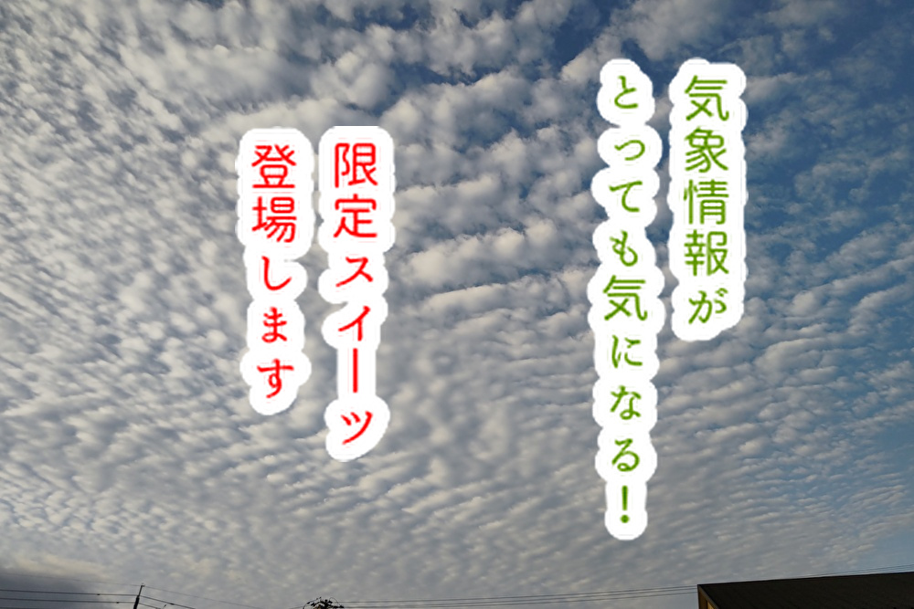 台風とこの「つぼみ」がとっても気になる！期間限定フィナンシェ仲間入り...