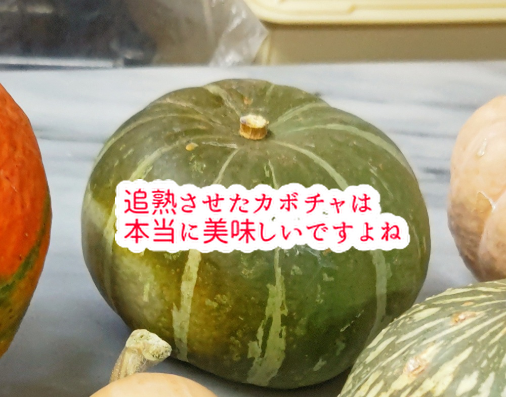 明日の手術にワクワク！秋の味覚「かぼちゃ」を楽しむ洋菓子職人！...