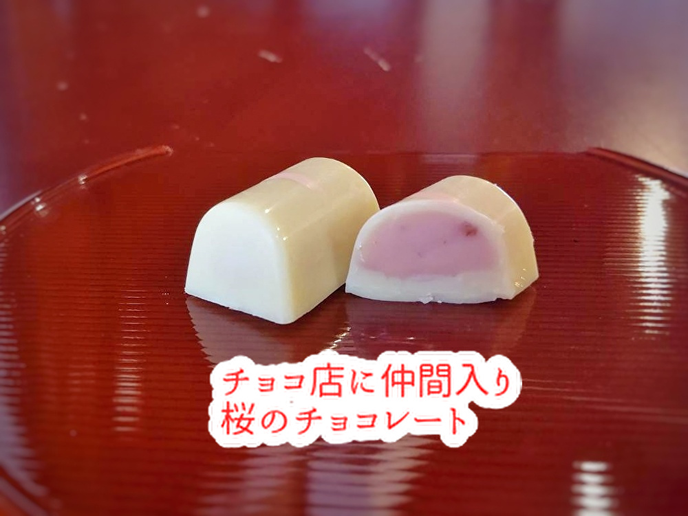 広島の大スターがユニット結成！桜のチョコ仲間入りしました！　東広島のチョコ店「御饌cacao」...