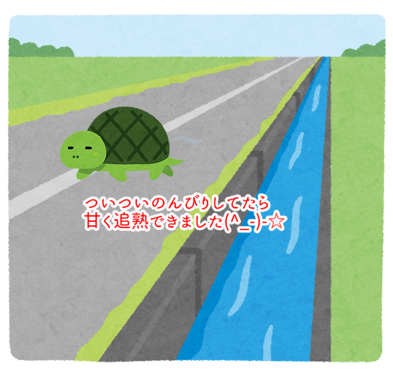 のんびりしていたら甘くて香りが増した甘夏ジュースができました!...