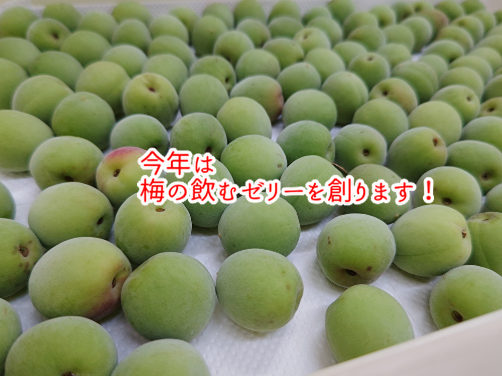 地域に根差す洋菓子店に何ができるのか!特別な誕生日ケーキ10品ご紹介します...