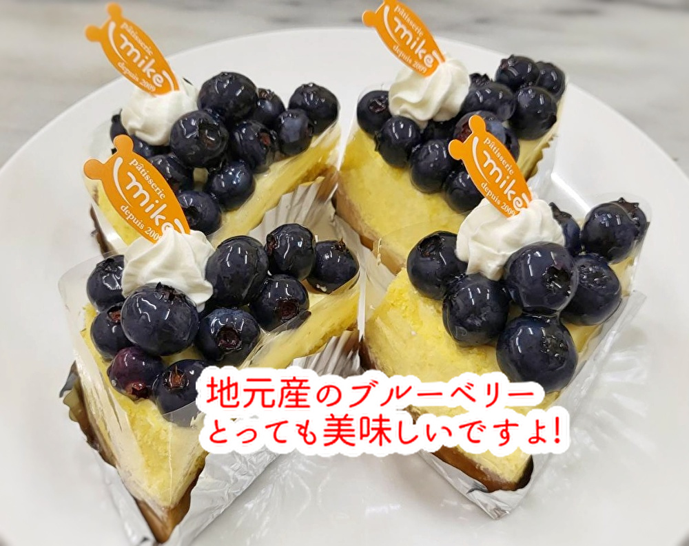 間が空くと育て方を忘れてしまいます!ブルーベリーのタルト仲間入りしました...