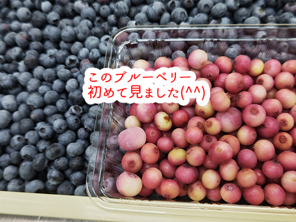 珍しいブルーベリーを使ったお菓子!ポリフェノールからチョコ・・・...