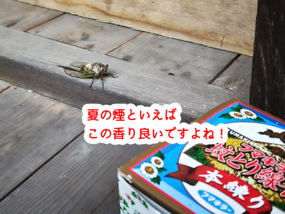 洋菓子のシェフが興味津々!え、この年で初体験?好きな煙ありますか?...