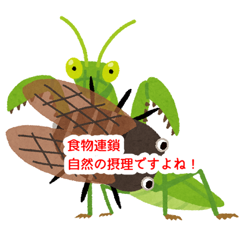 秋には虫が活発になる!年末年始に向けて洋菓子職人んも活発になります!...