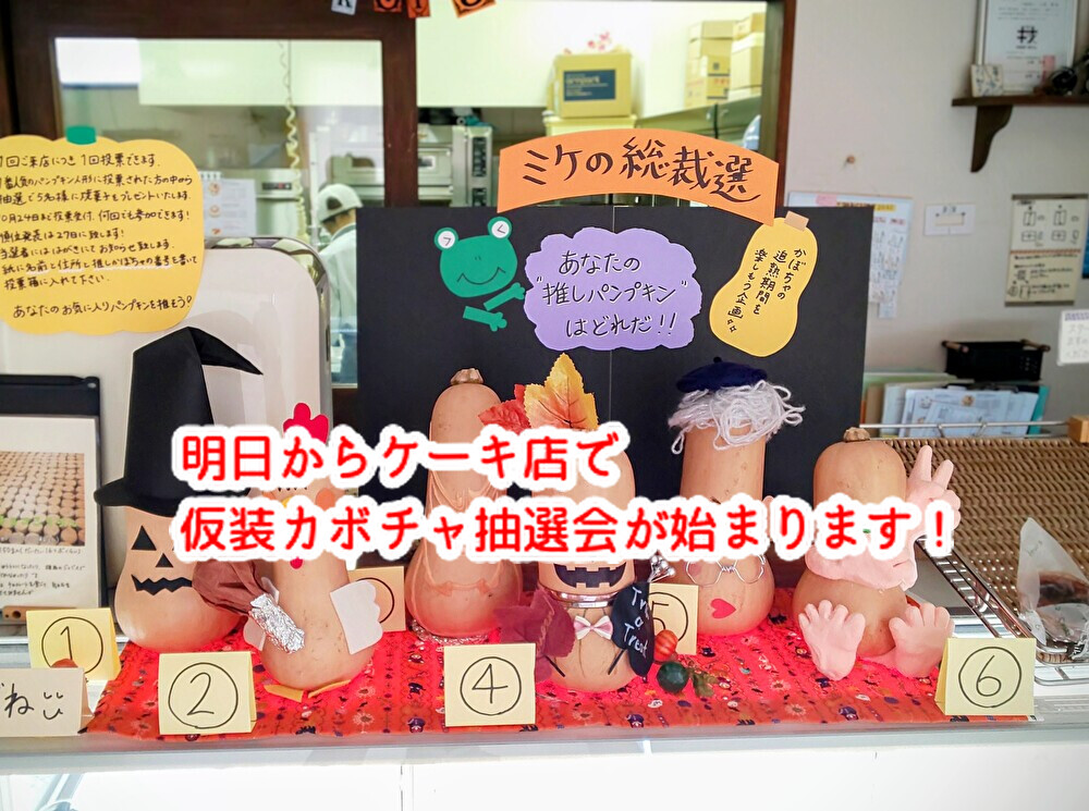 イベント出店は気温も天気も気になります!広島フードフェスティバルにmikeも出店します...