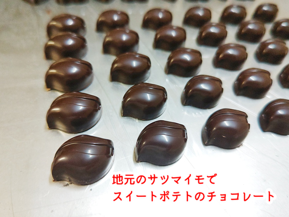 冬の定番スイートポテトのチョコ今日から仲間入り！定期検診行きましょうね...