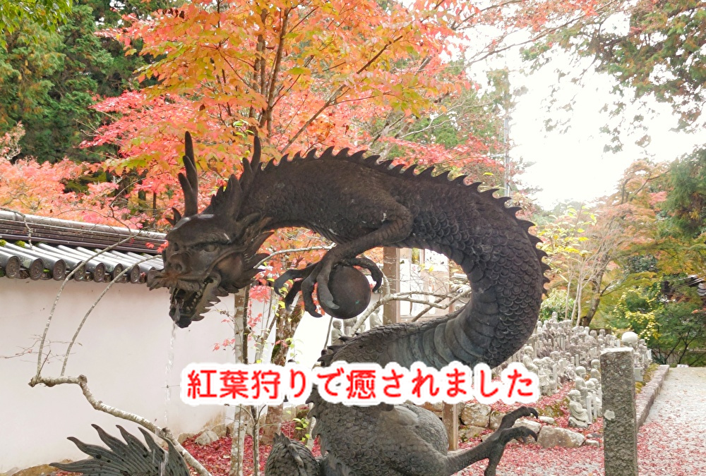 紅葉狩りに癒される寺院！いい夫婦の日にはmikeのケーキとチョコをプレゼント...