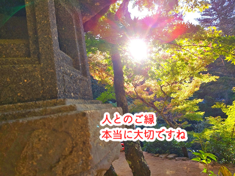 素敵なご縁で宮島に渡りました！お菓子に対する姿勢や心も磨かれた気持ちになります...