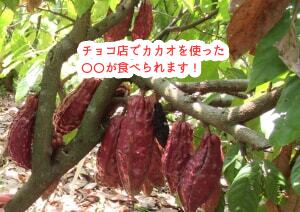 チョコ店で○○が食べられるとは！これは本場仕込みと言っていいかな？・・・...