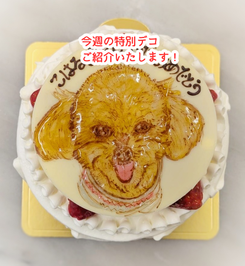 明日から大寒波がやってくる？今週の特別な誕生日ケーキ６品ご紹介...