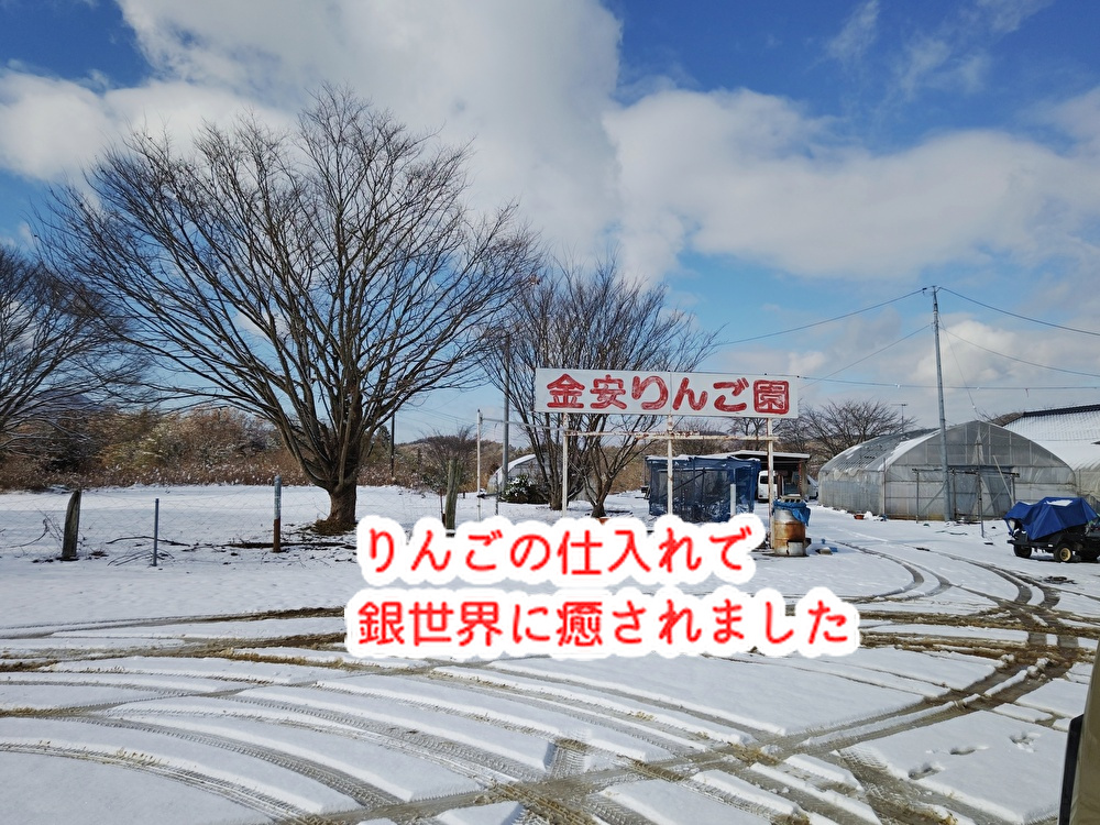 来週からバレンタインイベントが始まります！銀世界に癒されました...