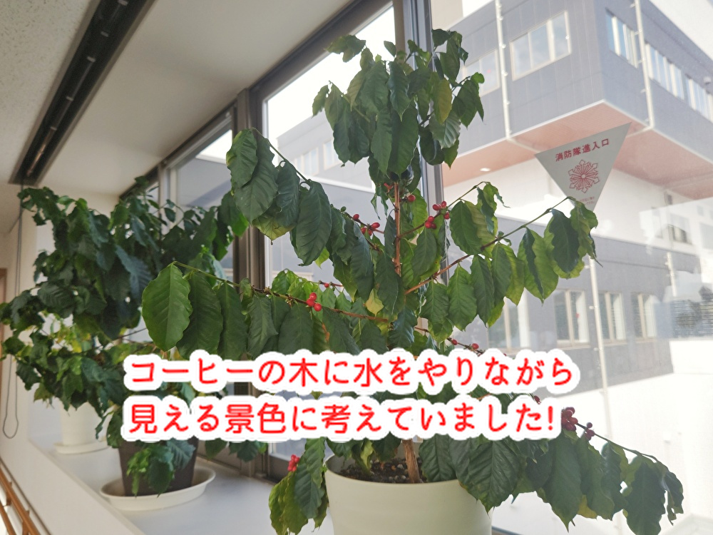 今年の目標決められましたか？わたくし洋菓子職人はこれをする予定です！...