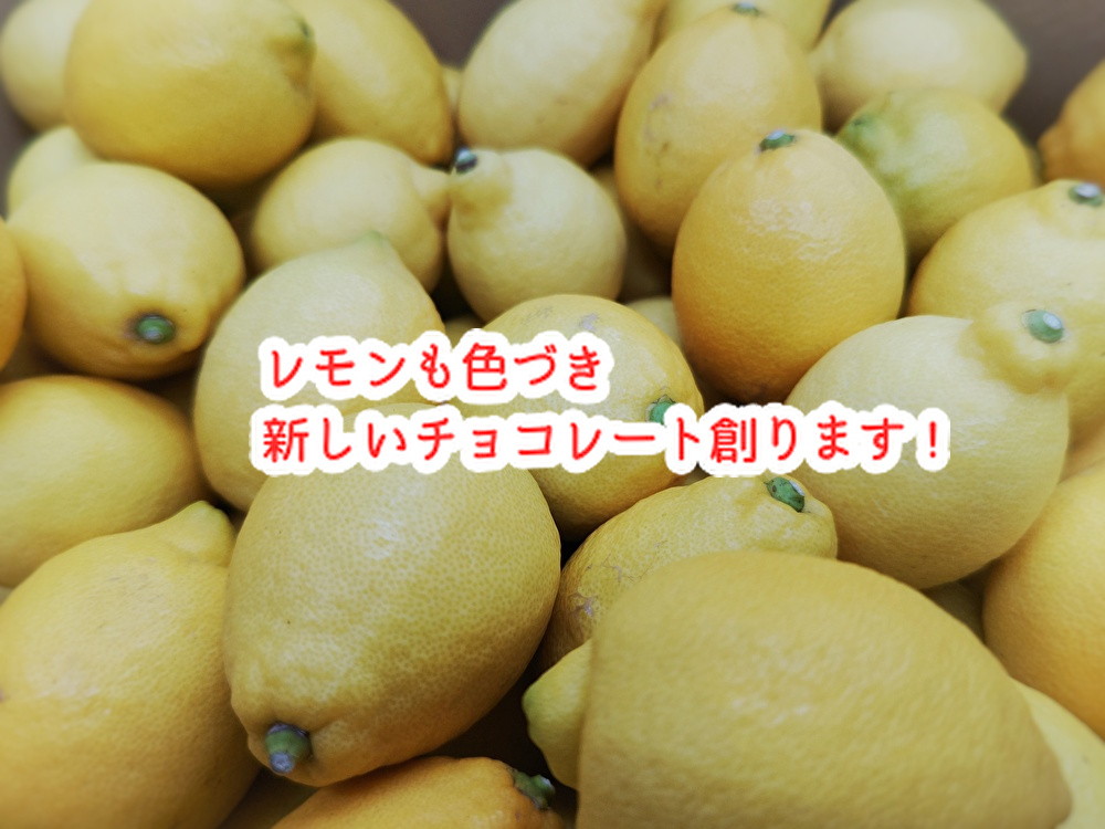 何事も早め早めに行動してください！今週の特別デコ3品ご紹介...