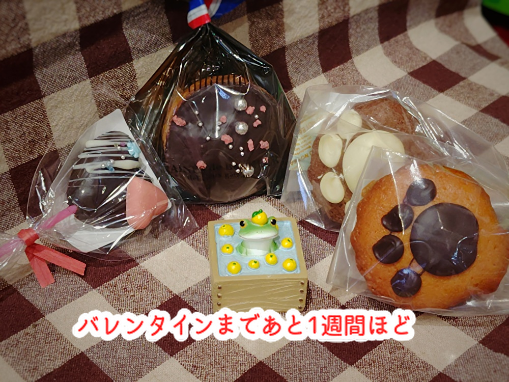 温かいお風呂が恋しい！バレンタインのチョコレートは購入されましたか？...