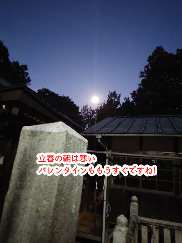 立春の楽しみはコレ！バレンタインまでのミケカカオのお知らせをいたします...