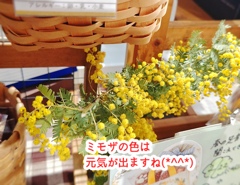 国際女性デーmikeは頑張る人を応援！ミモザのラッピング販売しています...