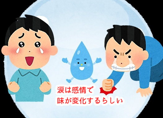 感情が入り乱れて涙が出る。そんな時はチョコレートがおススメです...