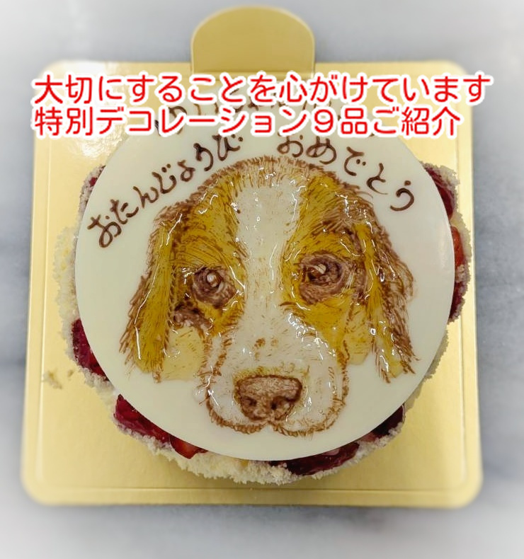 どんなモノにも魂が宿る！今週の特別デコレーションケーキ９品ご紹介...