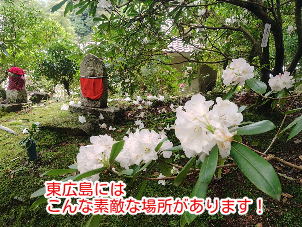 ゴールデンウィークどうする？お菓子？お花見？ここおススメです...