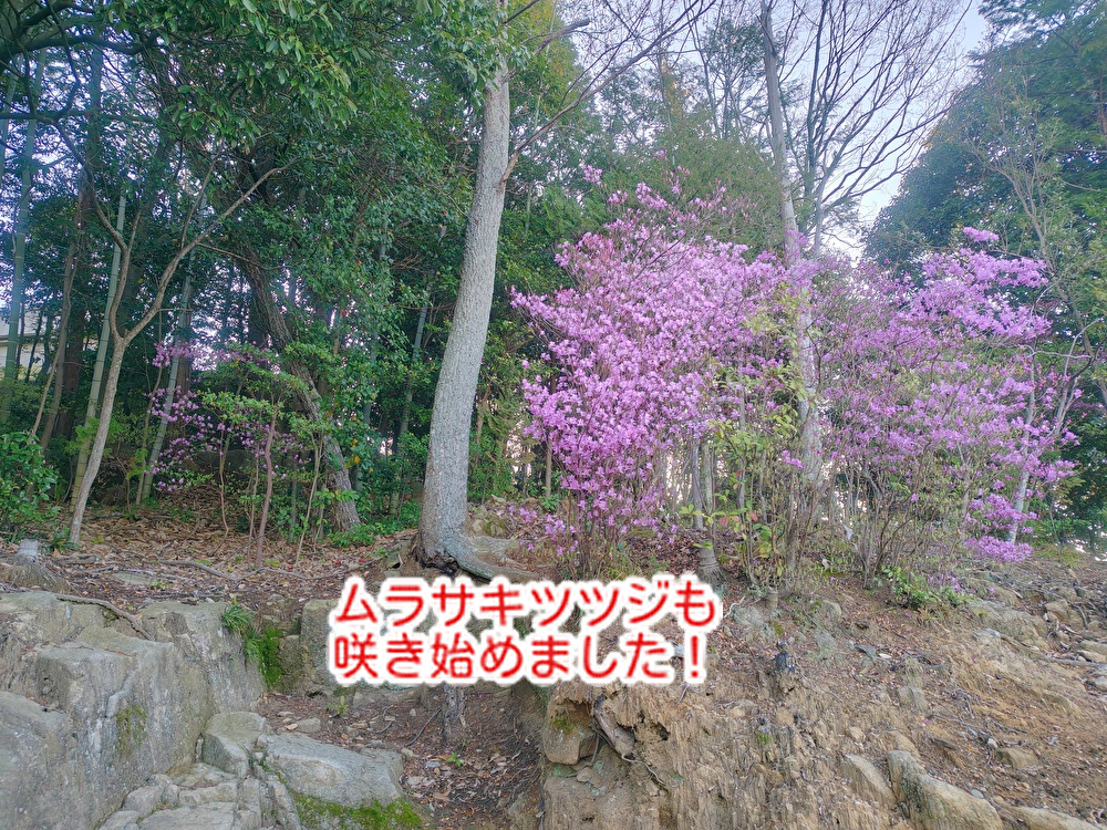 ケーキとチョコ　作り手の想いを伝える！徳島で出会った素敵なお店...