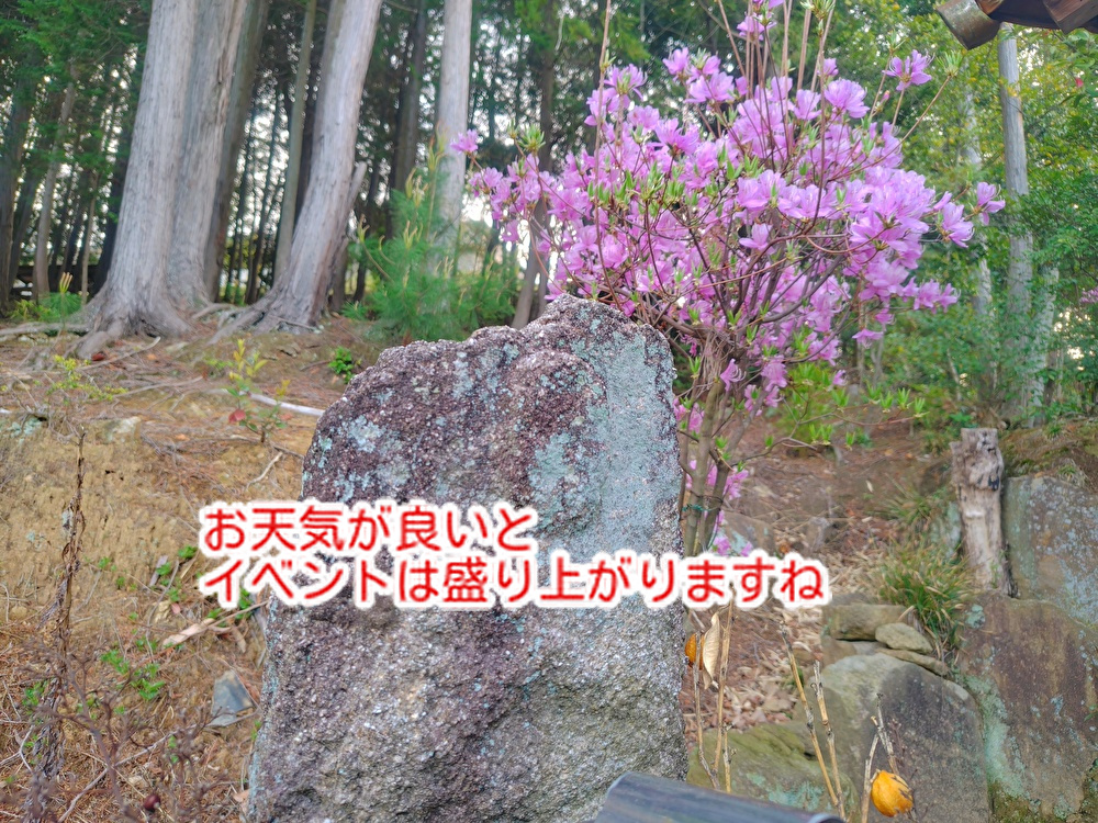 冷酒ぷりん大人気！蔵開きは酒好きにはたまらないイベントです！東広島蔵開き２０２６...