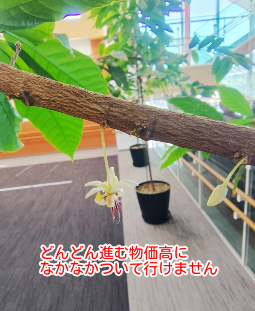 適正な価格への価格転嫁！いろんなお店が悩んでいますよね...