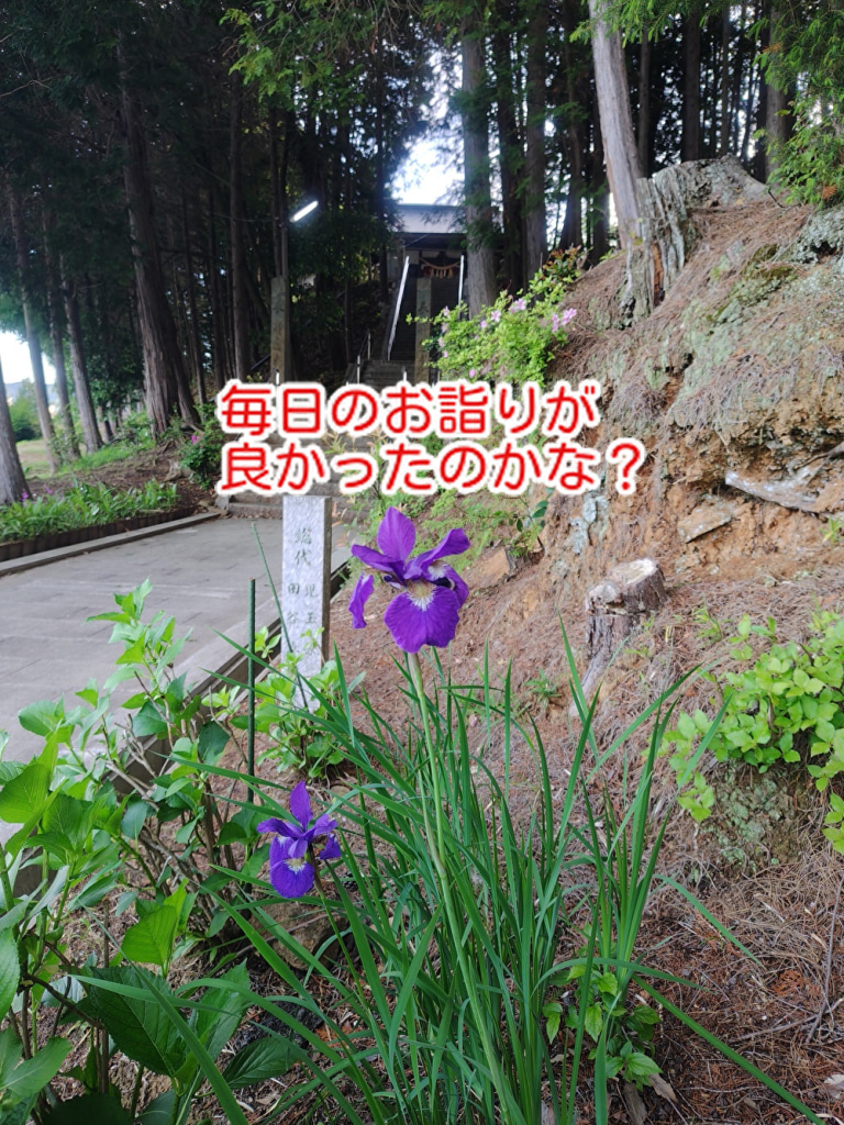 母の日にも限定ケーキ販売します！毎日の神社詣りの恩恵が。。。...