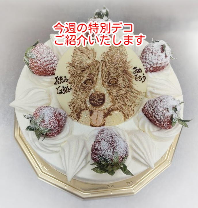 お母様に感謝を伝えましたか？特別な誕生日ケーキ７品ご紹介します...