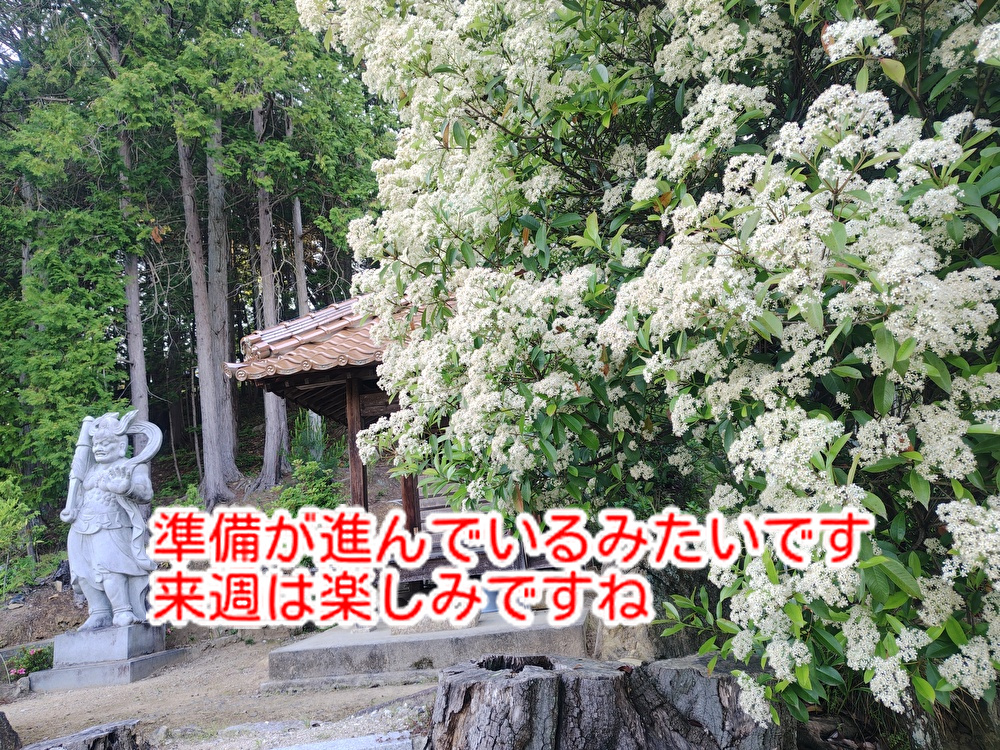 気持ちのいい季節！準備は整っていますか？お菓子の準備も頑張ります...