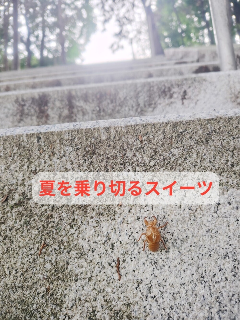 mikeでは「超暑さ対策スイーツ」販売しています！酷暑を乗り切りましょう...