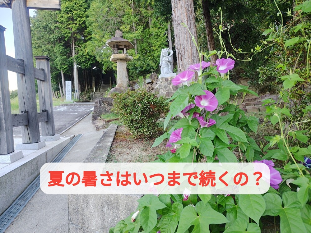 次のイベントは今週土曜日にチョコ店の近くで出店いたします...
