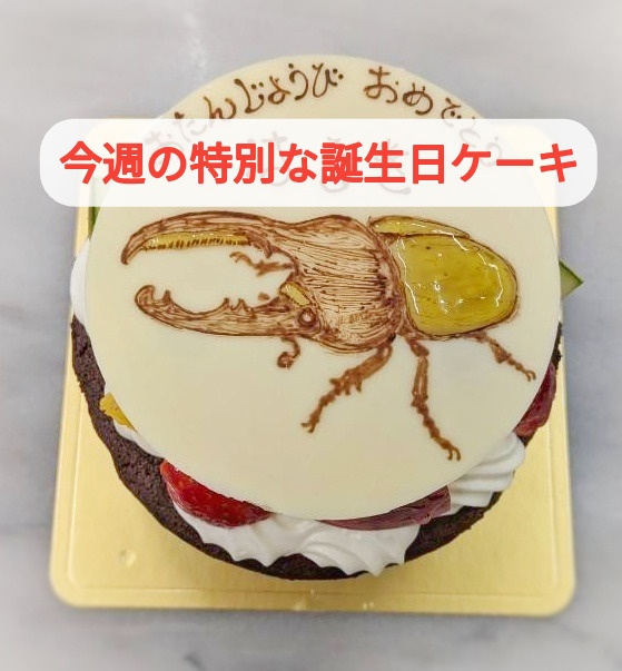 ついつい来年のこの話題になっちゃいます。特別な誕生日ケーキ１１品ご紹介...