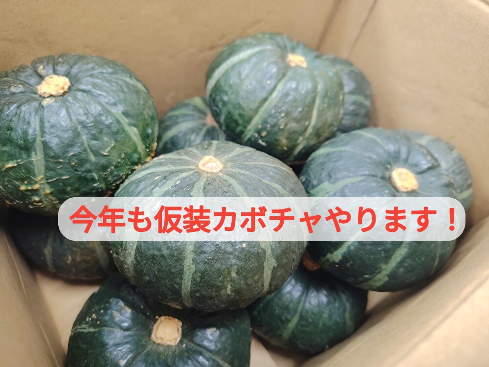 一石四鳥？ハロウィーンイベント今年もケーキ店で開催します！...